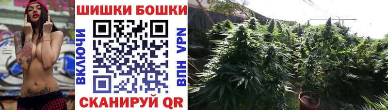Магазины продажи наркотиков Купино APVP  АМФ  ГЕРОИН  Конопля  ГАШ  Cocaine  Меф мяу мяу 