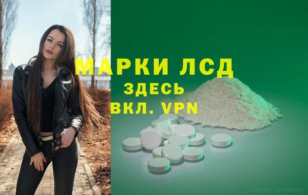 гидра Новозыбков
