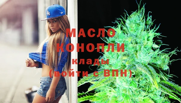 гидра Новозыбков