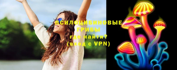 гидра Новозыбков
