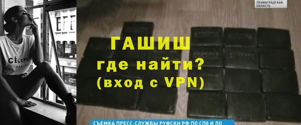 гидра Новозыбков