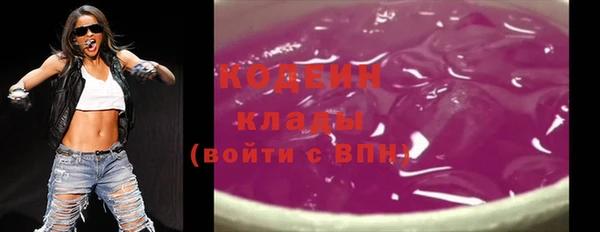 шишки Ельня