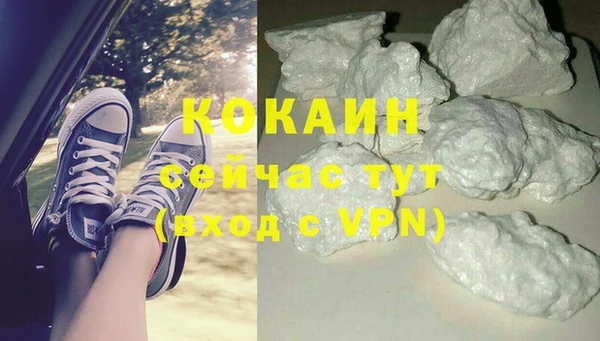 гидра Новозыбков