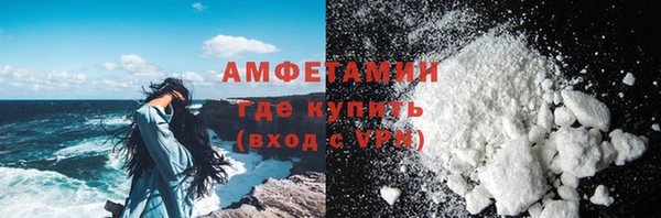 гидра Новозыбков