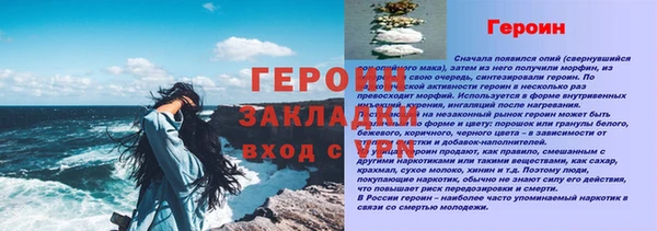гидра Новозыбков