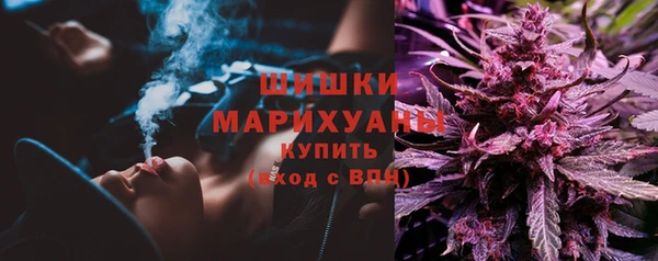 гидра Новозыбков
