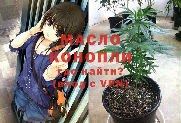 гидра Новозыбков